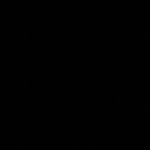 Meet your Posher, Kaley